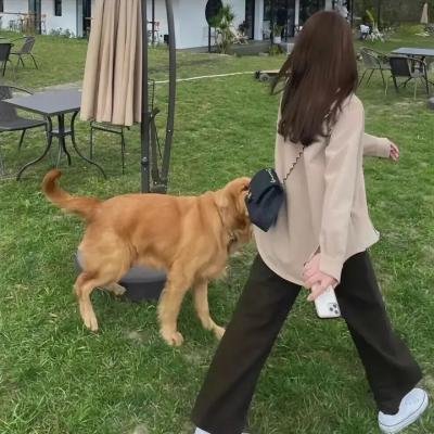 黑金杀机